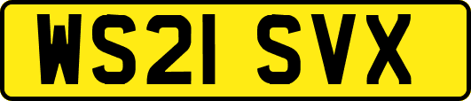 WS21SVX