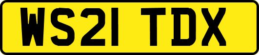 WS21TDX