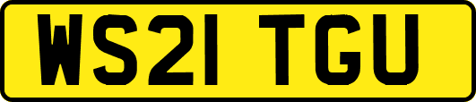 WS21TGU