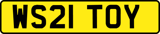 WS21TOY