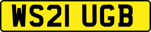 WS21UGB