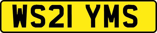WS21YMS