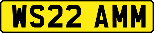 WS22AMM
