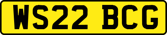 WS22BCG