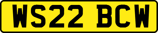 WS22BCW