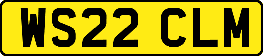 WS22CLM