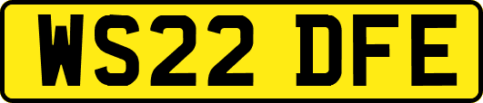 WS22DFE