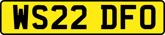 WS22DFO