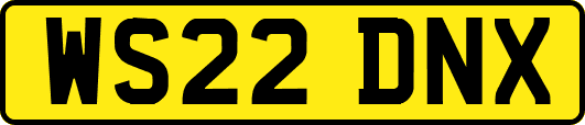 WS22DNX