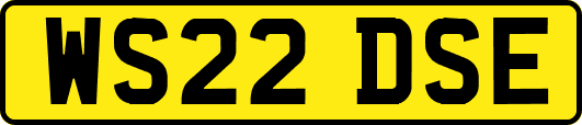 WS22DSE