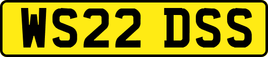 WS22DSS