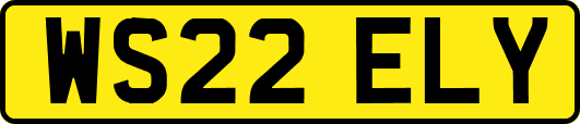 WS22ELY