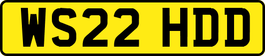 WS22HDD