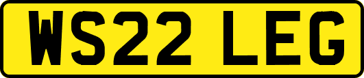 WS22LEG