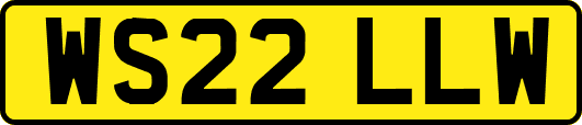 WS22LLW