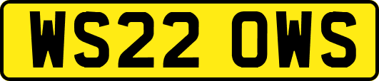 WS22OWS