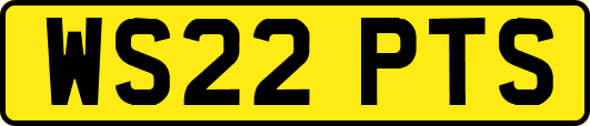 WS22PTS