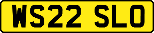 WS22SLO