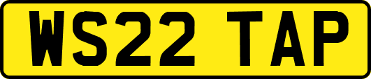 WS22TAP