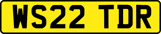 WS22TDR