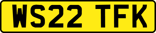 WS22TFK