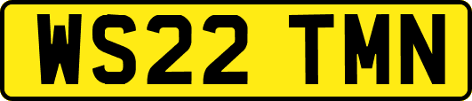 WS22TMN