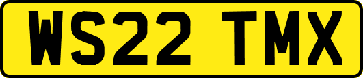 WS22TMX