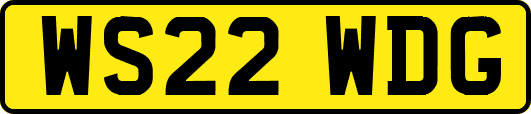 WS22WDG