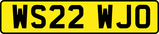 WS22WJO