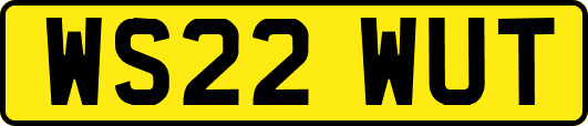 WS22WUT