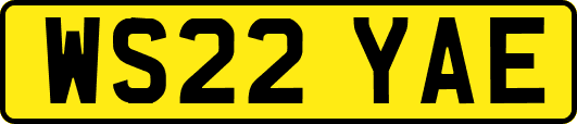 WS22YAE
