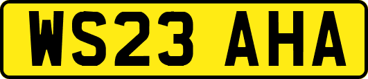 WS23AHA