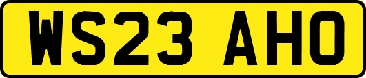 WS23AHO