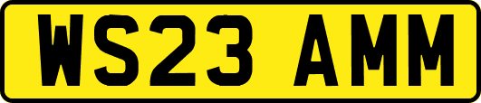 WS23AMM