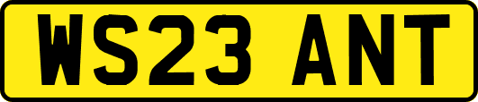 WS23ANT