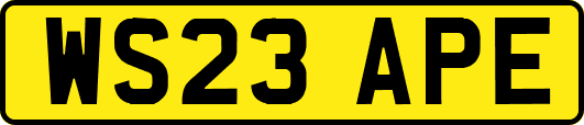 WS23APE