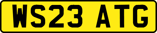 WS23ATG
