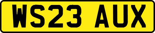 WS23AUX