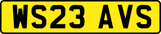 WS23AVS