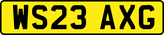 WS23AXG