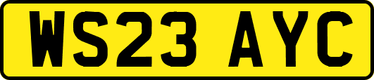 WS23AYC