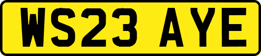 WS23AYE
