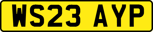 WS23AYP