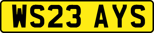 WS23AYS
