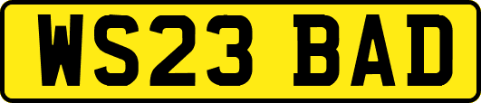 WS23BAD