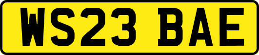 WS23BAE