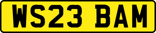 WS23BAM