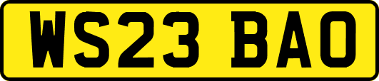 WS23BAO