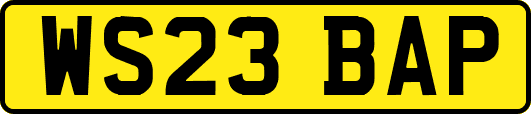 WS23BAP