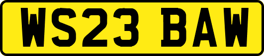 WS23BAW